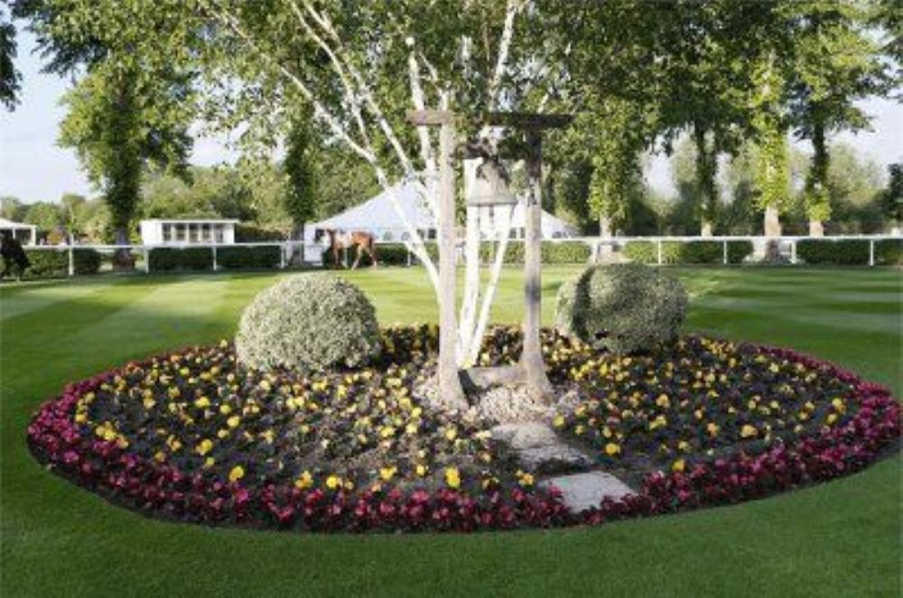 The grounds at Royal Windsor Racecourse